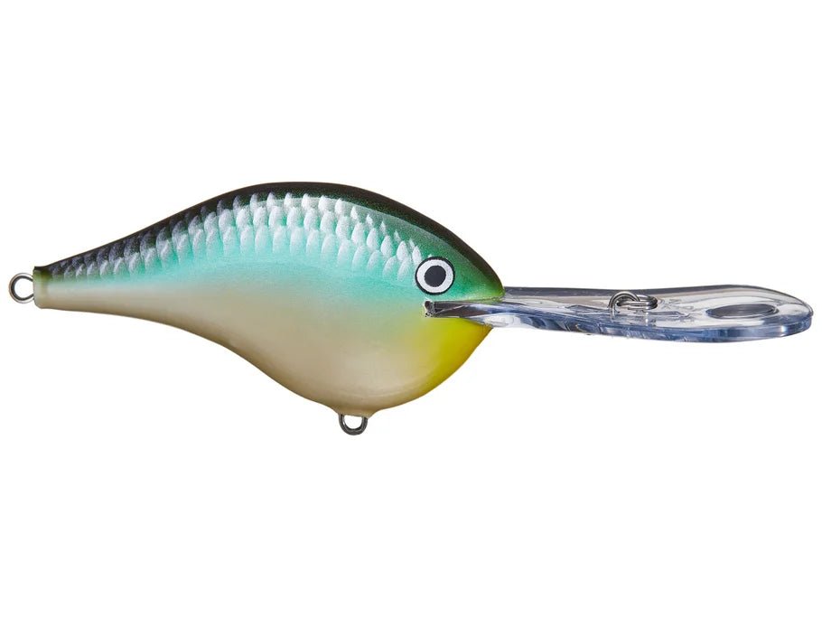 Rapala DT20 Series Crankbaits