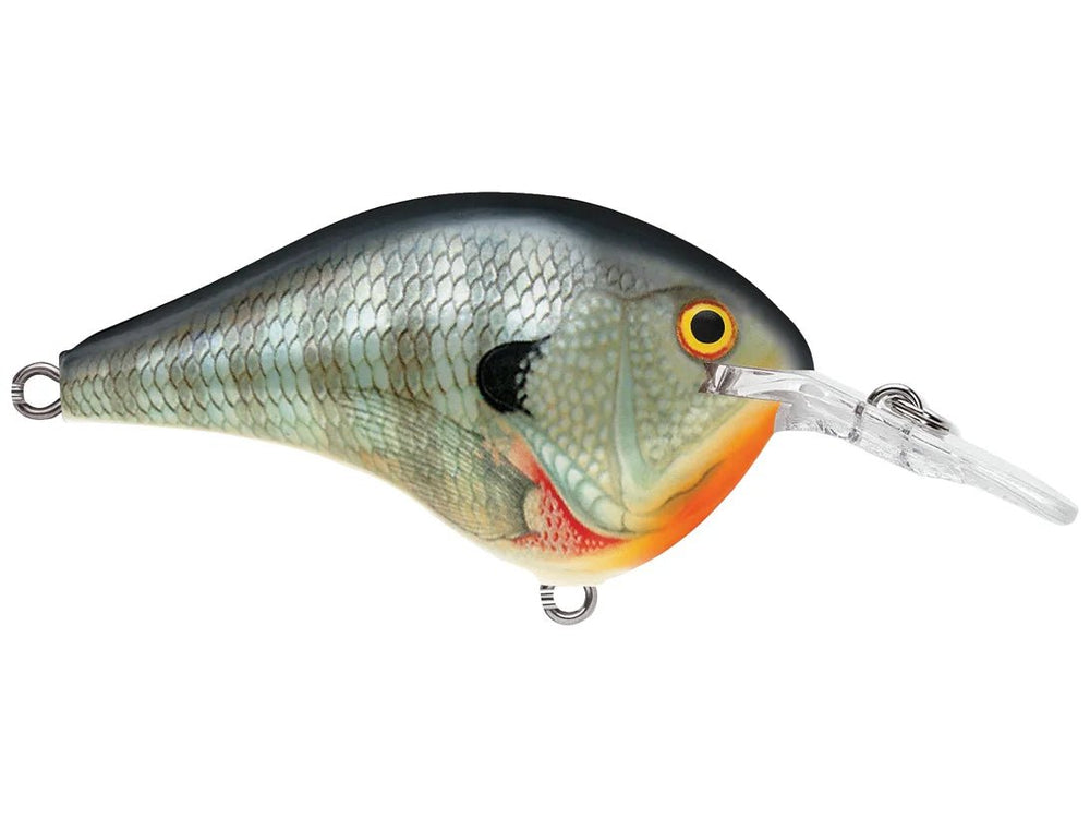 Rapala DT6 Series Crankbaits