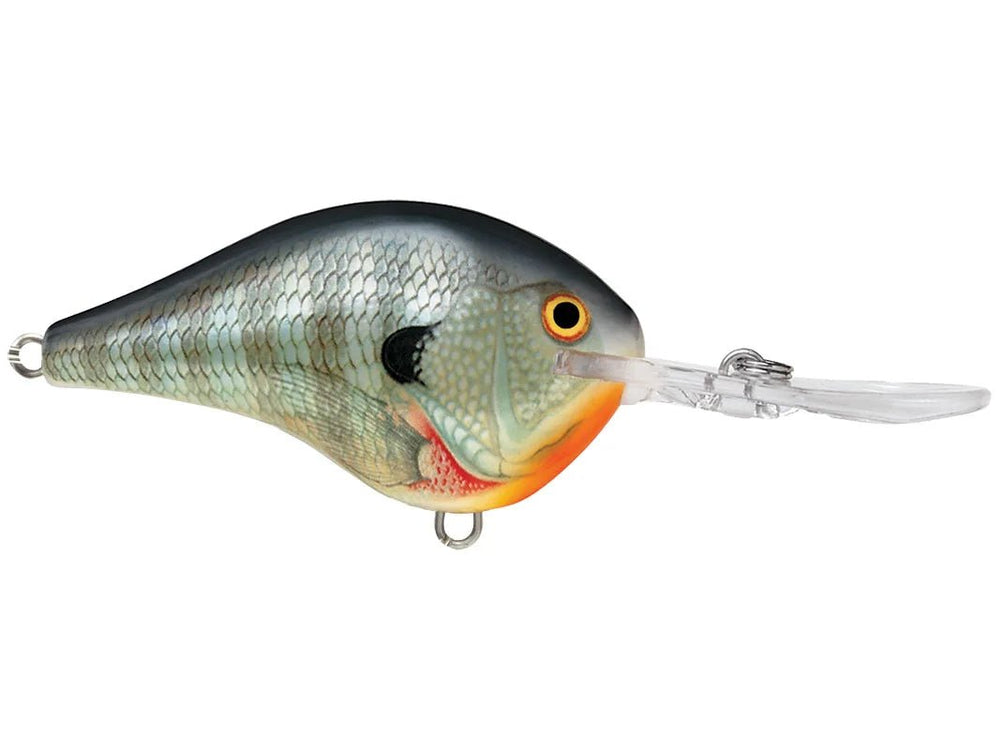 Rapala DT10 Series Crankbaits