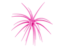 Hideup COIKE bait in Bubblegum Pink with a round body and radiating appendages