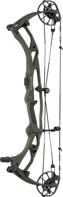 Hoyt Carbon RX-10 Ultra compound bow in Wilderness