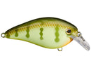 Strike King KVD 1.5 HC Squarebill Silent CrankbaitJOOTTIChartreuse perch
