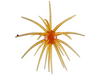 Queen Tackle Porcupine Ball Dead Center Magnum 20mm 2pk