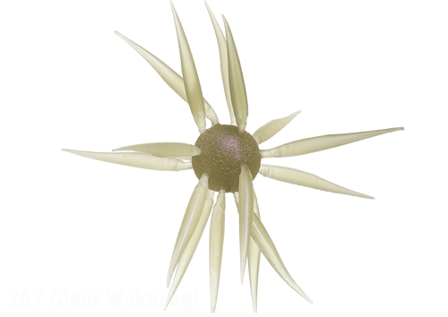 Hideup Coike Fish L (Elastomer)JOOTTIClear Wakasagi