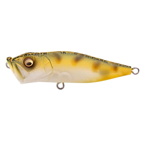 Megabass Pop-X Limited Color Drop