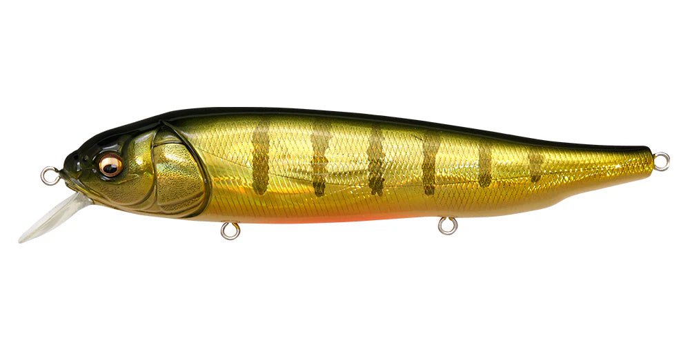 Megabass LATES FeddingWoofer