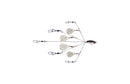 YUM YUMbrella Flash Mob Jr 5-wire Colorado blade rig