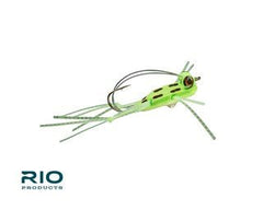 RIO Flies Foam Slice Frog (6 Pack)