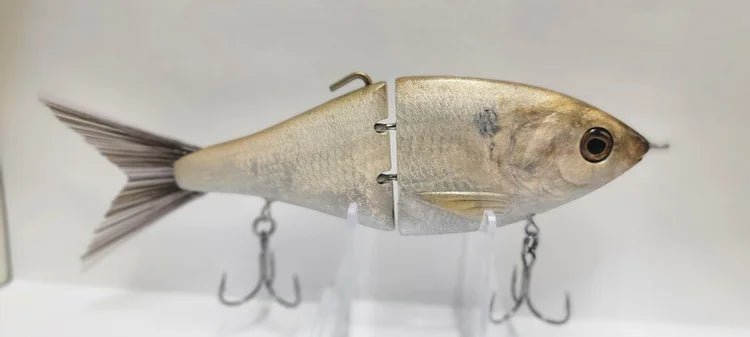 versatile VG2JOOTTIDirty gizzard