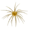 Hideup COIKE bait in Edge Shrimp with dark flecks and radiating appendages