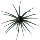 Hideup Coike 17mm Creature BaitJOOTTIGill