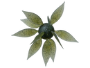 HIDEUP Coike Fish Gill L (Large) creature bait, Green Light Gill color