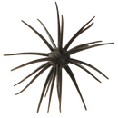 Hideup Coike 17mm Creature BaitJOOTTIGreen pumpkin