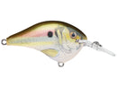 Rapala DT6 Series CrankbaitsJOOTTILive river shad