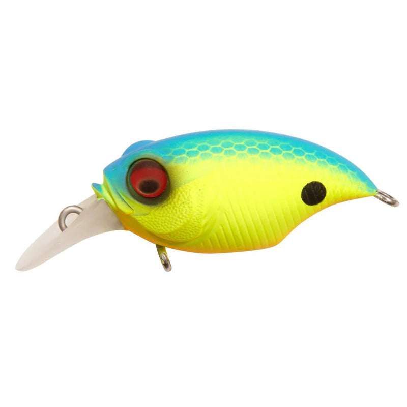 Megabass Griffon SR - XJOOTTIOld - z