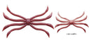 Fish Magnet OctopusJOOTTI04 Premium Natural Worm