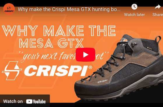 Crispi Mesa GTXJOOTTI9.5