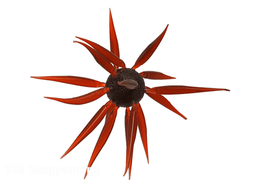 Hideup Coike Fish L (Elastomer)JOOTTIScuppernong