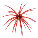 HIDEUP Coike 13mmJOOTTIScuppernong 108