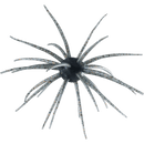 Hideup Coike 17mm Creature BaitJOOTTIShinikakegill