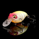 Megabass Respect Series 89- IF Hachiro