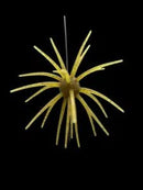 Black Label OFO 21mm TPE Soft BaitJOOTTIsungill