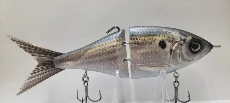 versatile VG2JOOTTIThreadfin