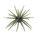 Skinny Bear Shake 'Em Up 19mm Urchin Bait