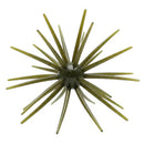 Skinny Bear Shake 'Em Up 19mm Urchin Bait