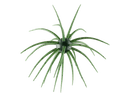Hideup COIKE 17mm creature bait in Watermelon seed (us)