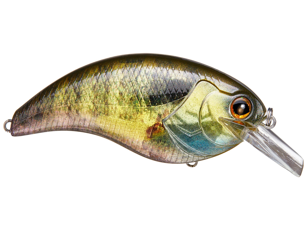 Deps Evoke Squarebill Crankbait | Tight Wobble for Shallow Water