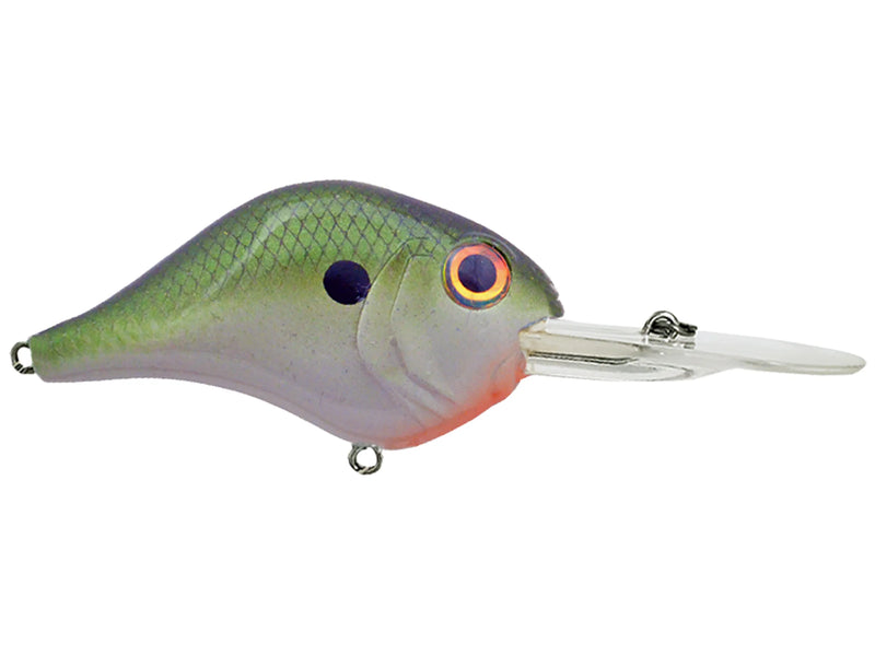 Bill Lewis MR - 12JOOTTITennessee Shad