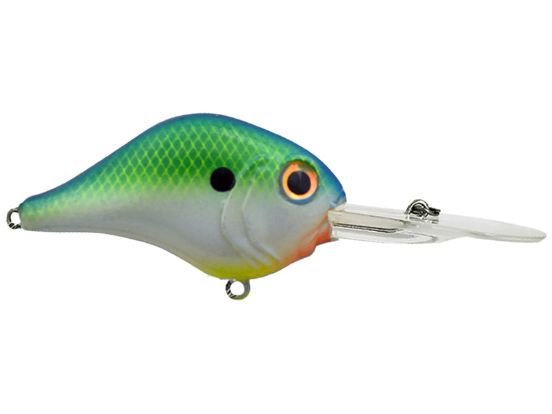 Bill Lewis MR - 12JOOTTICitrus Shad