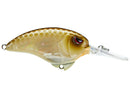 Spro Outsider Crank MR 60 CrankbaitJOOTTIRiver Gold