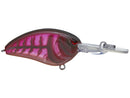 Spro Little John Micro DD 45 CrankbaitJOOTTIRed River Craw