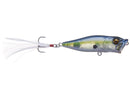 Megabass POP - XJOOTTIGP Sexy Shad