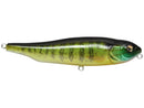 Megabass GIANT DOG - XJOOTTIPumpkin Seed
