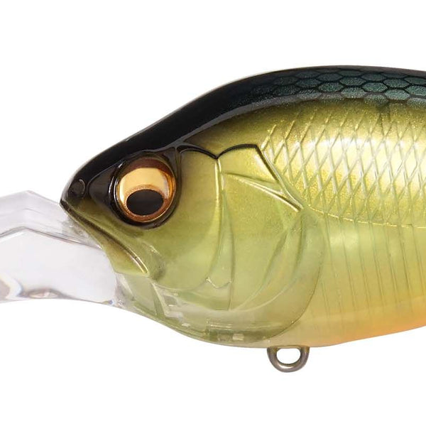A Total Guide to Bass Fishing Crankbaits A Total Guide to Bass Fishing Crankbaits